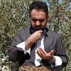 karwansaidlatif