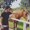 palominoalexander