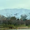 elperrillo4