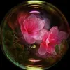 syy_008