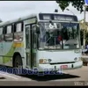 flavindopneu386