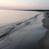kowalevvska