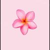 user7aa3hanhpv