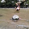 el_forastero1994