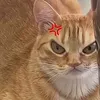 drogadadepressiva