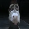 dunnotbhmatey
