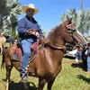 juarez220