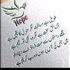 user312046077