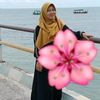 sr_sky15