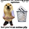 opinion_doge