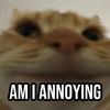 myoppismyself