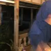 khismiss_