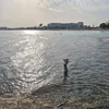 dari_na_aa