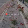 user868176930