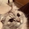 yona__32
