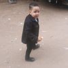 alaa.shaker226