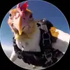 lucksxkt