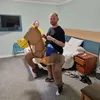 majorfights