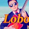 lobo_del_requinto