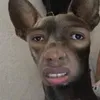 ryrtqusghuy