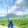 btrfly160