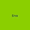 erva_derler_9