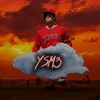 ysm3_2013