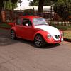 vw4lifebeetle