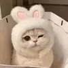 curious_learner_
