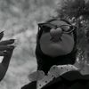 its_lolaty