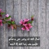 s_edraa