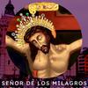 Señor de los Milagros Lima Per