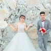 chinh890