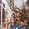 hoatran281072