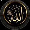 islamic_status492