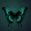 eve.11231