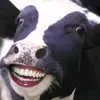 mooman89