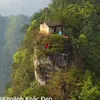 langyenid