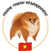 phocsocvietnam