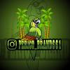 perico_brand661