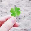 thichduthu_hg