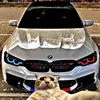 drag_dp
