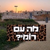 aviv243