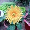 soheo696969