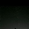 bukan_roy8