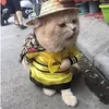 tranducnhat0