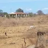 marcosrafael417