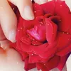 s_mzire7