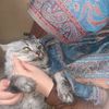 ahlammm000