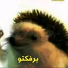 c_moon68